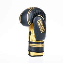 Fighter Boxing Gloves Basic Stripe - Black/gold -Boxing Shop 1376APU BG03