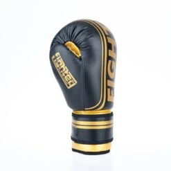 Fighter Boxing Gloves Basic Stripe - Black/gold -Boxing Shop 1376APU BG04