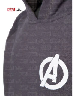 Daedo Hoodie Avangers - Grey, MARV50522 -Boxing Shop 3dac6b3bb241f6d8d43a552da42170f2