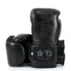 Fairtex Boxing Gloves Booster Series - Black -Boxing Shop 4 8 1