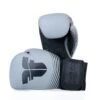 Fighter Boxing Gloves SPLIT Stripes - Gray/black -Boxing Shop FBG 001 SGR01