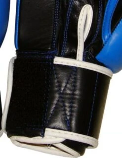 Top Ten Competition Boxing Gloves Olympia - Blue, 2011-6 7 Top Ten Competition Boxing Gloves Olympia - Blue, 2011-6 -Boxing Shop d1a7845c1f0049d2b42bd57c8920d9b6