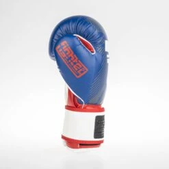 Fighter Boxing Gloves SPEED - Tricolor, TH1612PUBLR -Boxing Shop fighter 2020 156