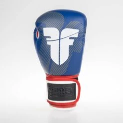 Fighter Boxing Gloves SPEED - Tricolor, TH1612PUBLR -Boxing Shop fighter 2020 158