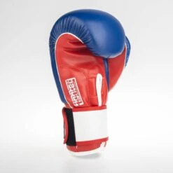Fighter Boxing Gloves SPEED - Tricolor, TH1612PUBLR -Boxing Shop fighter 2020 160